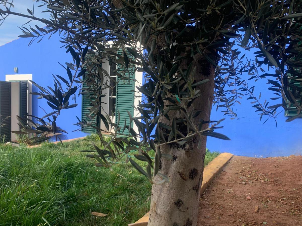 Casa Dos Mangues Affittacamere São Martinho do Porto Esterno foto